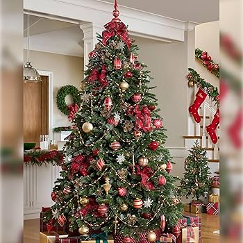 The idolatry Origins of Christmas/ Fir Trees Worship- Isaiah