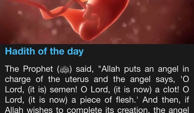 Qadr – Divine Destiny/ Fate – Islam