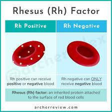Why is European Blood so Unique? –