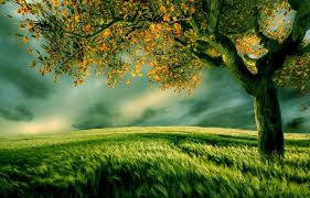 Guaranteed a Place in Jannah/ Paradise