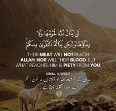 Qurbani -Muslim Welfare Center